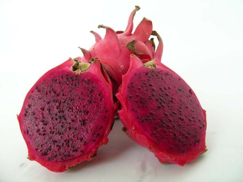 Piros húsú sárkánygyümölcs - Különleges gyümölcstermők az Egzotikus Növények Stúdiója kínálatából
